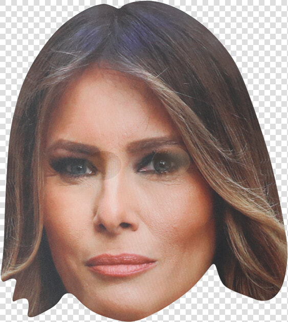 Donald Trump Hair Png   Melania Trump Head Png  Transparent PngTransparent PNG