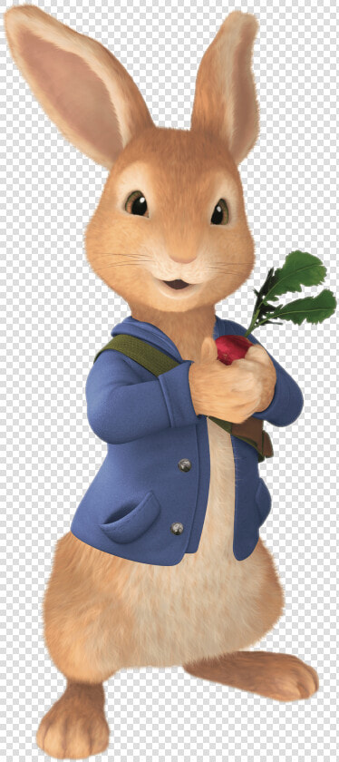Peter Rabbit Png   Peter Rabbit Free Clipart  Transparent PngTransparent PNG