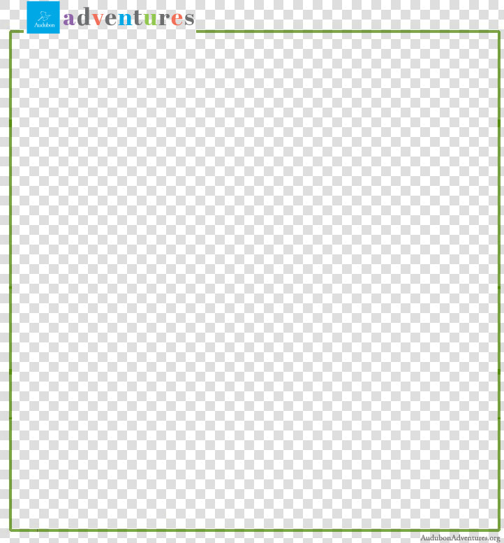Screenshot  HD Png DownloadTransparent PNG