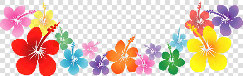 Hibiscus Flower Line Clipart   南国 イラスト フリー 素材  HD Png DownloadTransparent PNG