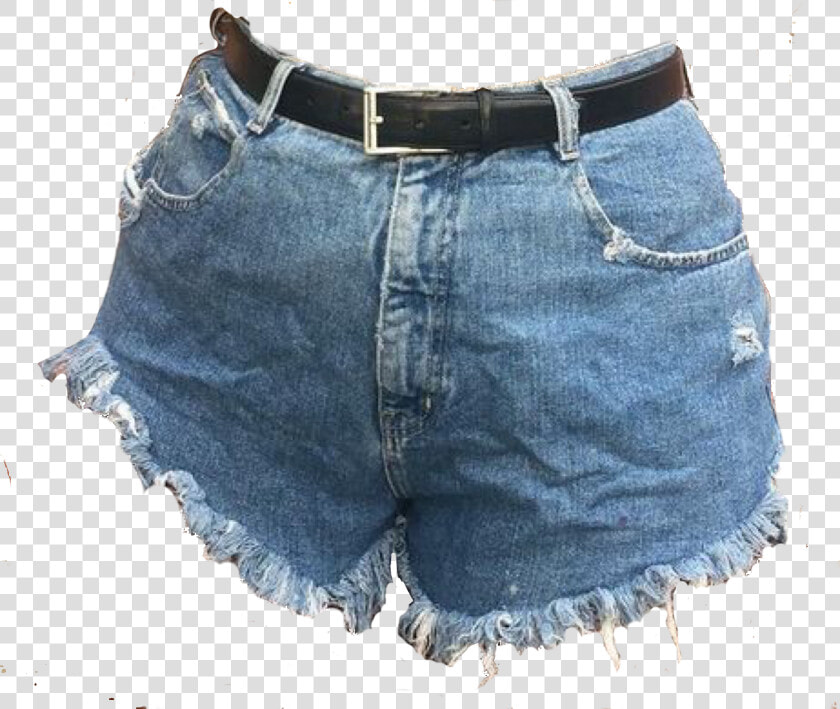 Plus Size Shorts With Fishnet  HD Png DownloadTransparent PNG
