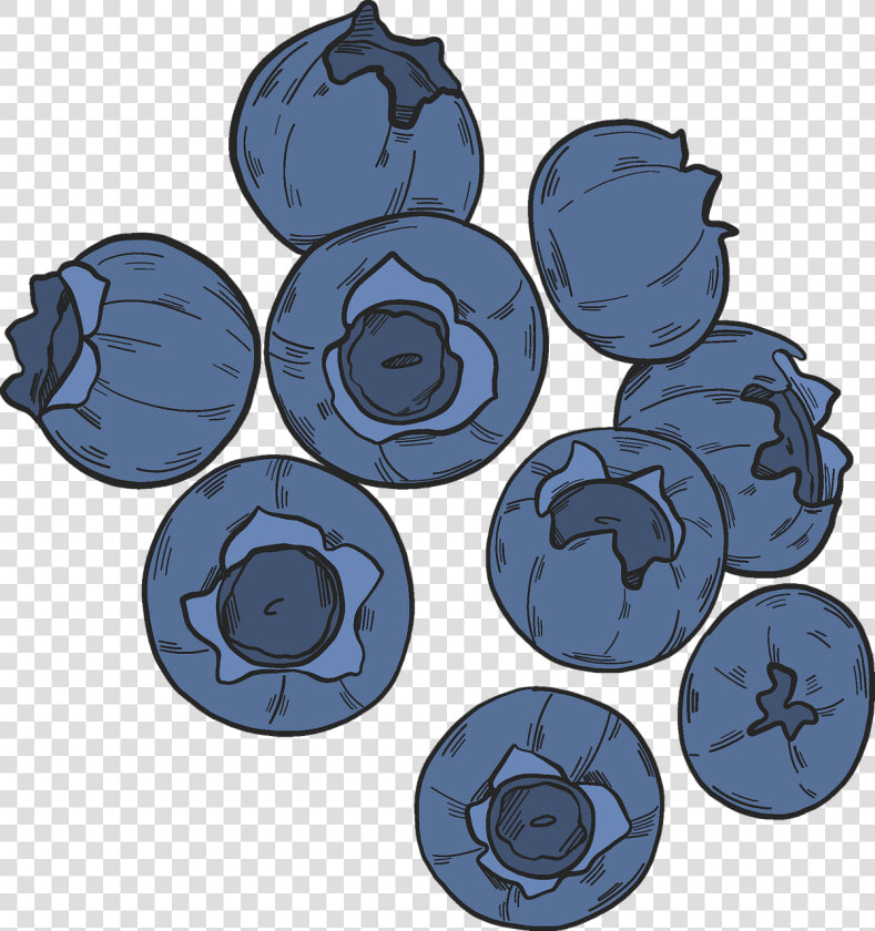 Blueberries Clipart   Blueberry  HD Png DownloadTransparent PNG