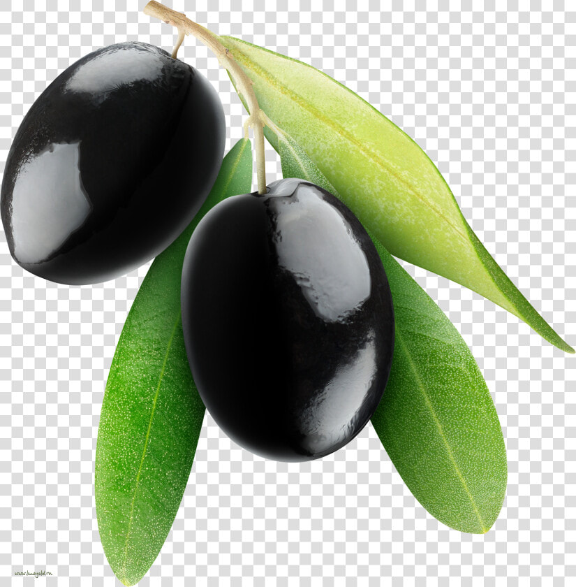 Olives Png Image   Black Olive Png  Transparent PngTransparent PNG