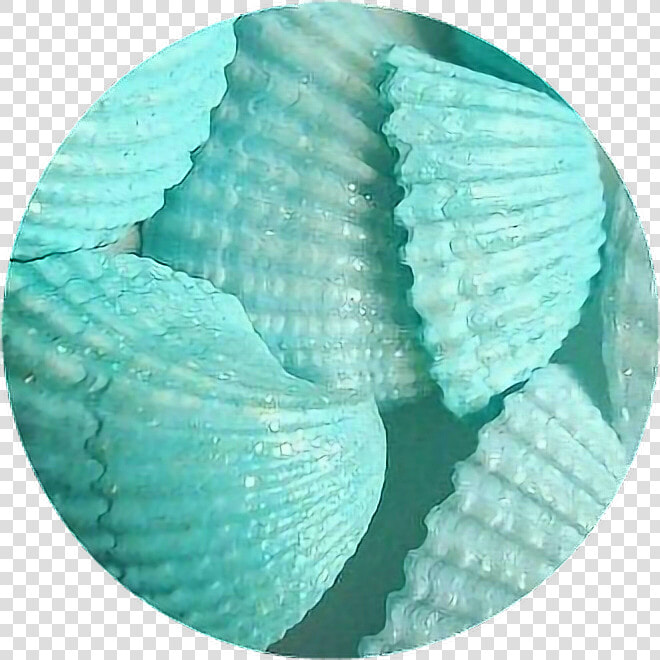  circle  png  tumblr  aesthetic  remixit  overlay backgroud   Blue Aesthetic Shells  Transparent PngTransparent PNG
