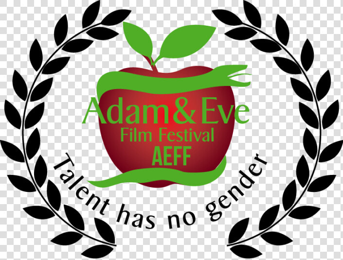 Datamex College Of Saint Adeline  HD Png DownloadTransparent PNG