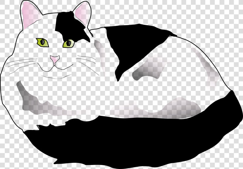 Black And White Fluffy Cat Clipart  HD Png DownloadTransparent PNG