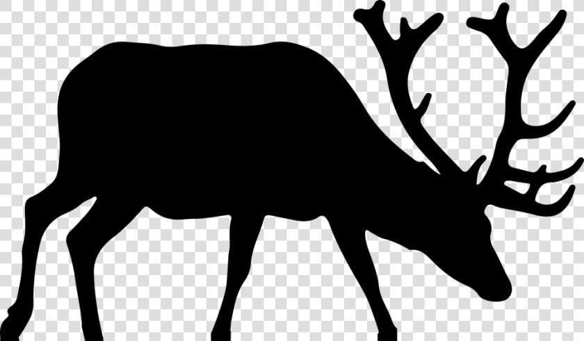Free Photo Silhouette Deer Elk Antlers Animal   Elk Silhouette Transparent  HD Png DownloadTransparent PNG