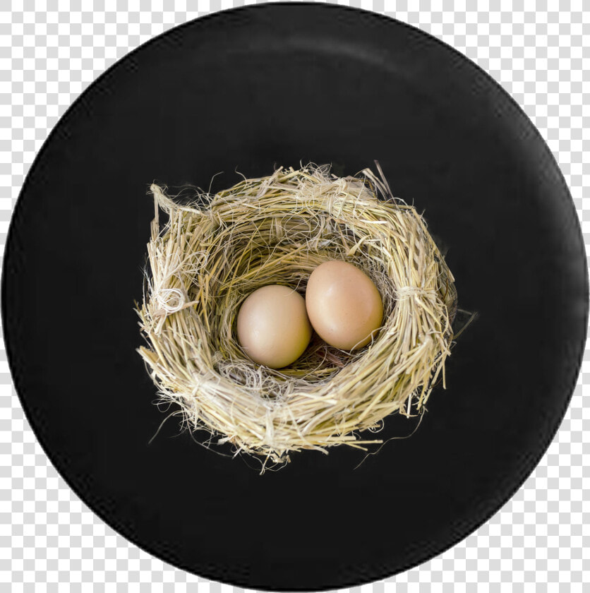 Birds Nest With Baby Bird Eggs Jeep Camper Spare Tire   Nest Png  Transparent PngTransparent PNG