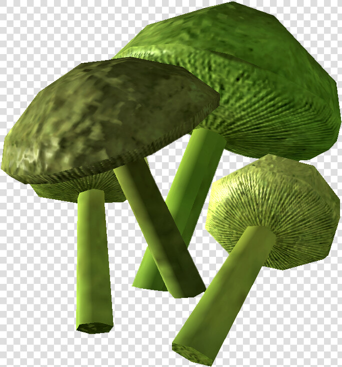 Mutant Cave Fungus  HD Png DownloadTransparent PNG