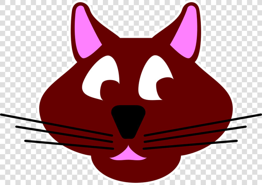 Cat  Brown  Face  Animal  Whiskers  Kitten  Feline  HD Png DownloadTransparent PNG