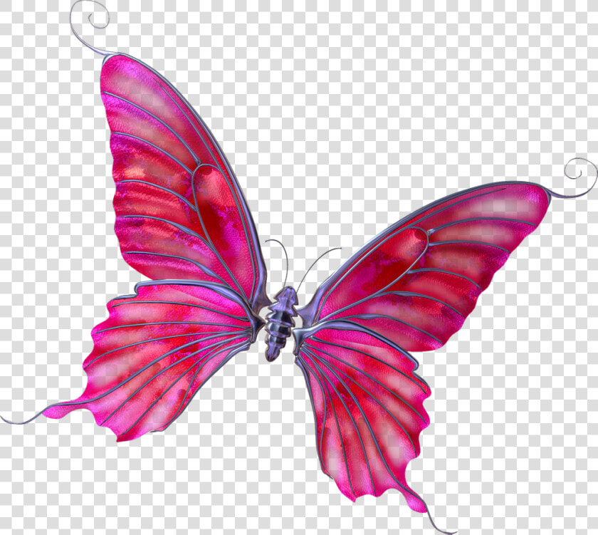 Mariposas De Dibujo Fondo Transparente  HD Png DownloadTransparent PNG