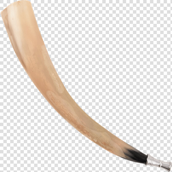 Ivory  HD Png DownloadTransparent PNG