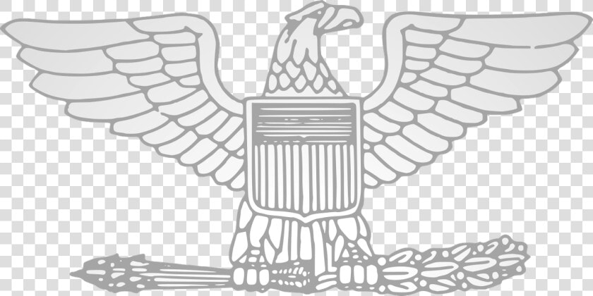 Colonel Insignia For Sale  HD Png DownloadTransparent PNG