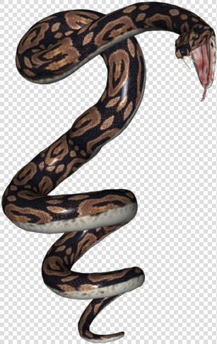 Serpent  HD Png DownloadTransparent PNG
