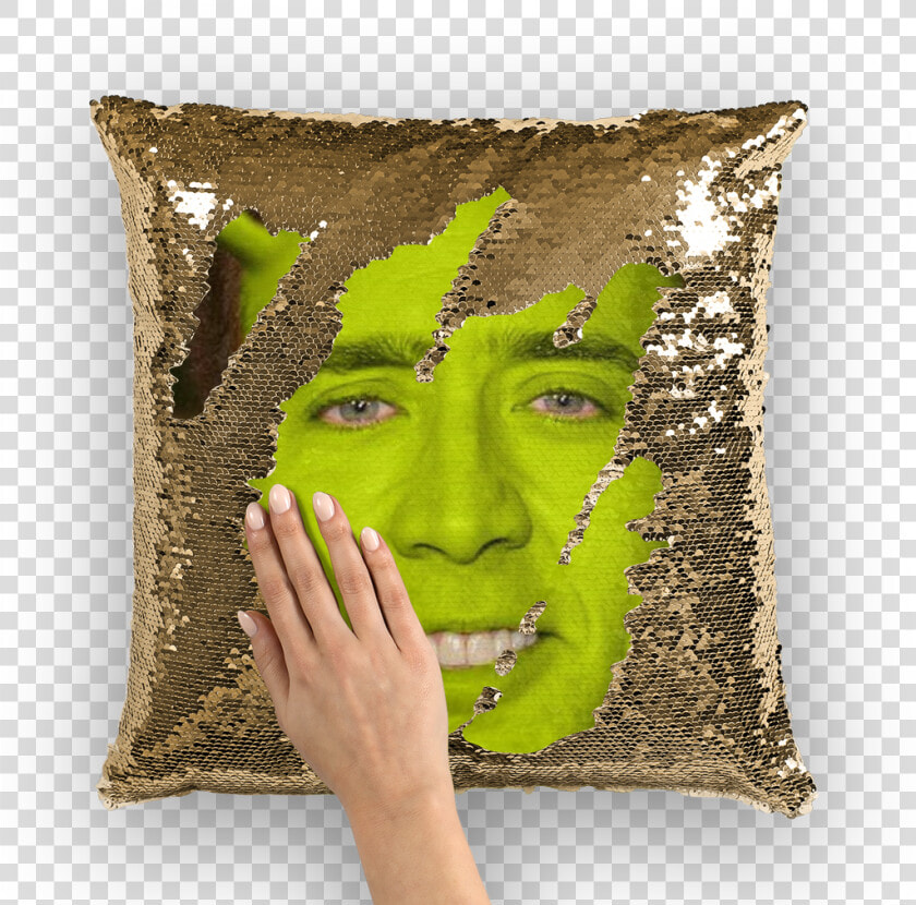 Nicolas Cage As Shrek ﻿sequin Cushion Cover Class   Nicolas Cage Shrek Pillow  HD Png DownloadTransparent PNG