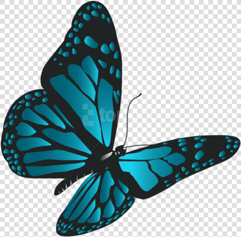 Free Png Download Blue Butterfly Png Clipart Png Photo   Real Blue Butterfly Png  Transparent PngTransparent PNG