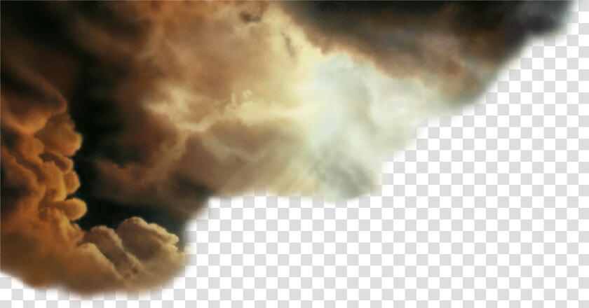 Macro Photography  HD Png DownloadTransparent PNG