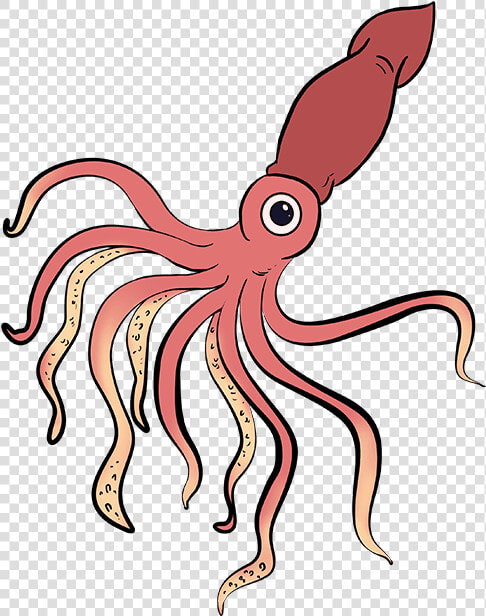 How To Draw Squid   Giant Squid Drawing Easy  HD Png DownloadTransparent PNG