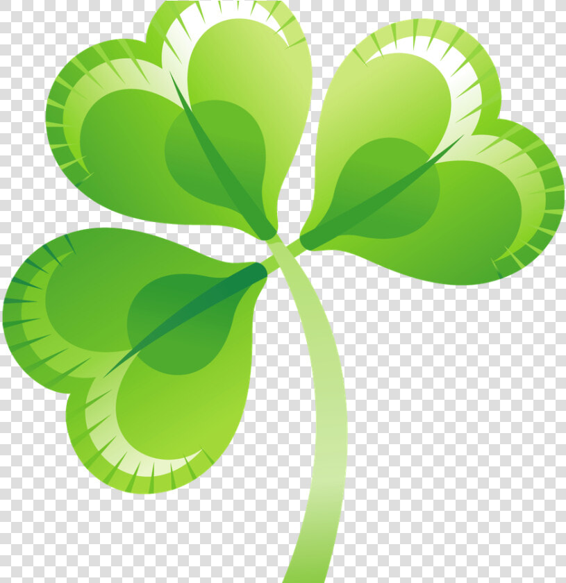 Clover Portable Shamrock Transparency Graphics Network   Transparent Shamrock Png  Png DownloadTransparent PNG