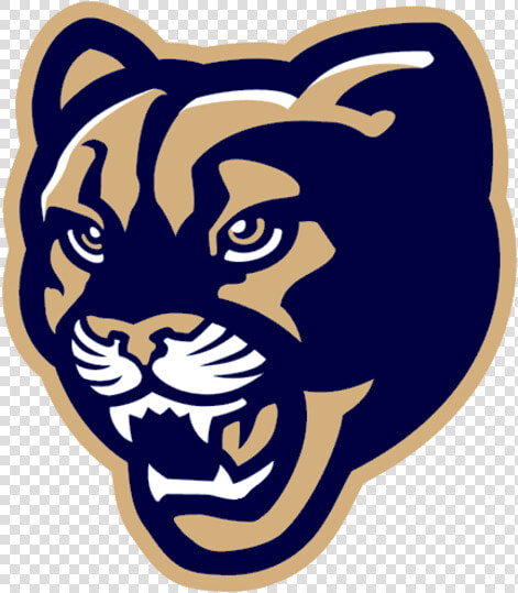 Free Cliparts Download Clip   Cougar Clipart  HD Png DownloadTransparent PNG