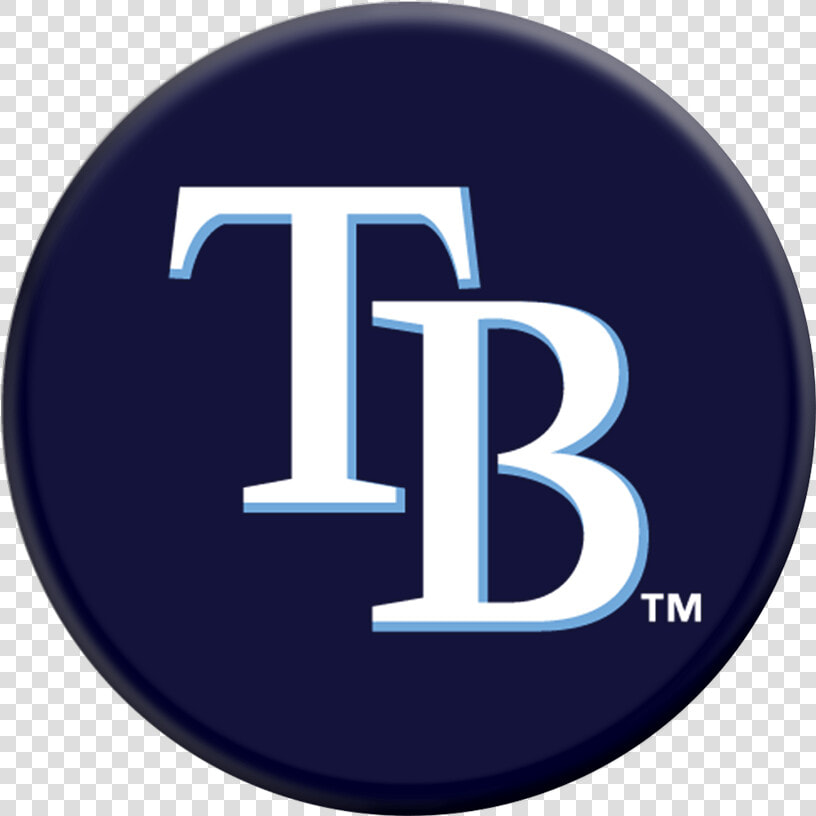 Tampa Bay Rays Usf Hat  HD Png DownloadTransparent PNG