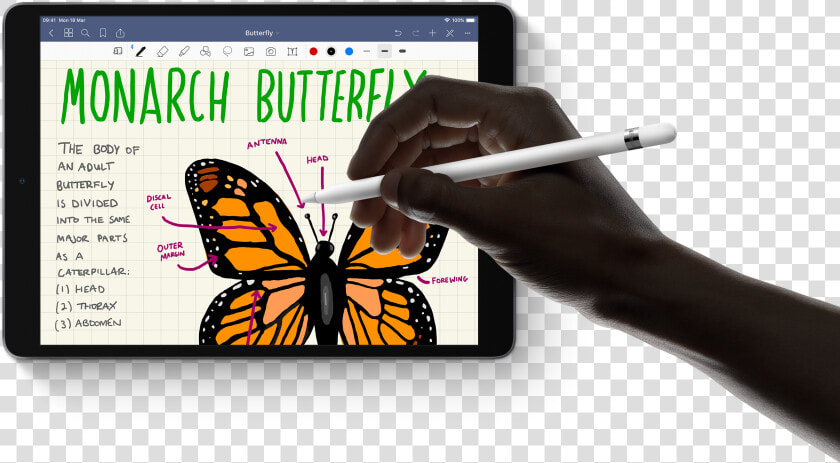 Transparent Ipad Air Png   Apple Pencil Ipad Air 2019  Png DownloadTransparent PNG