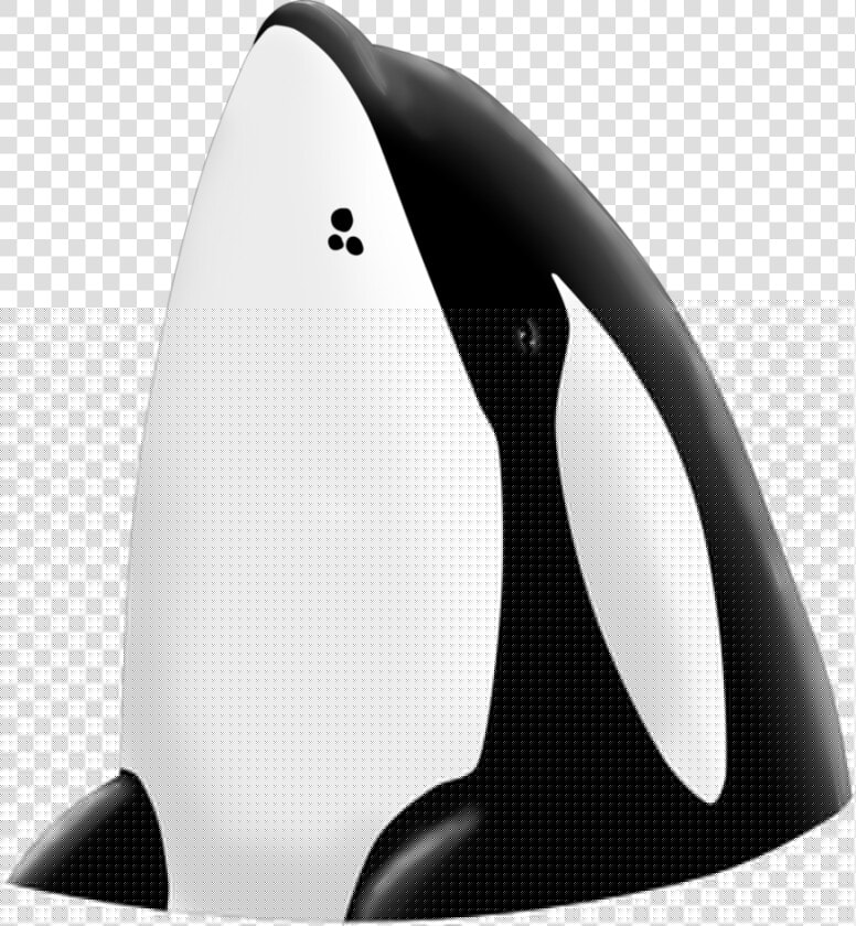 Killer Whale Keiko Png   Png Download   Killer Whale Keiko Png  Transparent PngTransparent PNG