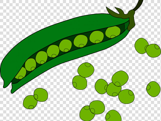 Transparent Green Beans Clipart   Green Beans Clipart  HD Png DownloadTransparent PNG