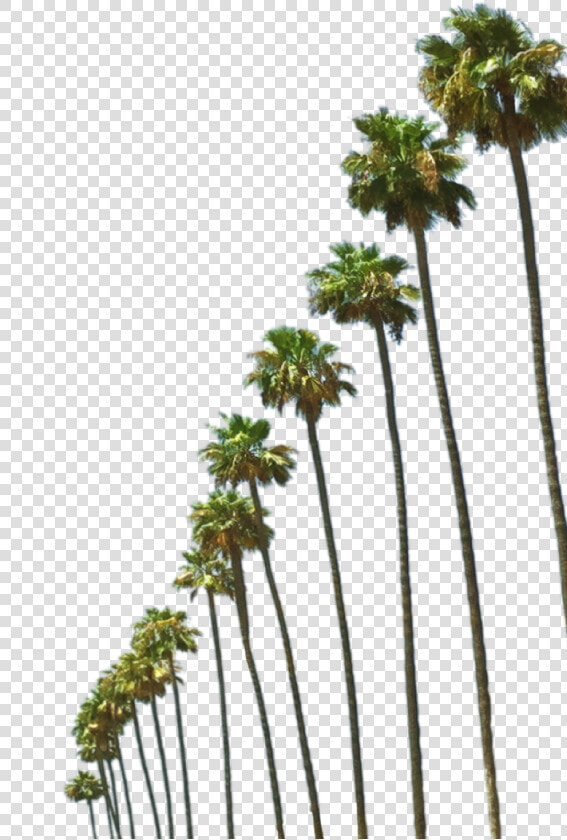 Steve Harvey Png  Transparent PngTransparent PNG
