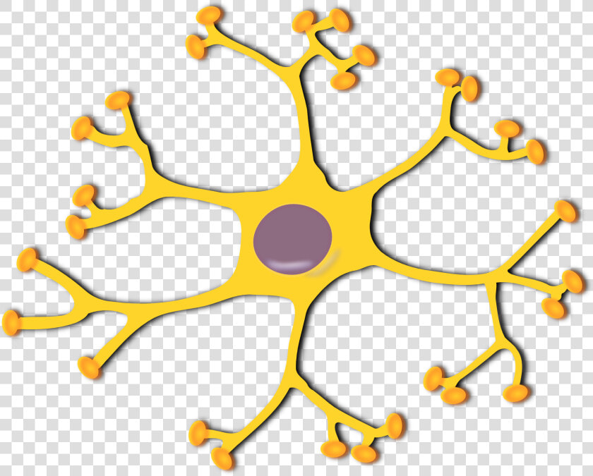 Symmetry area body Jewelry  HD Png DownloadTransparent PNG