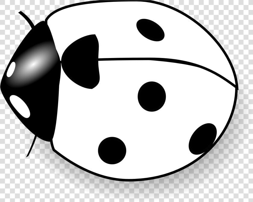 Bee Clipart Black And White   Lady Bug Black And White Clipart  HD Png DownloadTransparent PNG