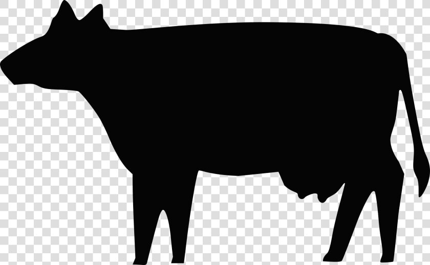 Cow Silhouette Clip Arts   Cow Silhouette No Background  HD Png DownloadTransparent PNG