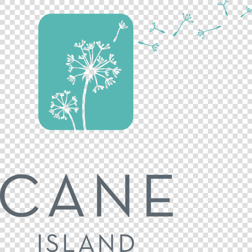Cane island Logo Vert Fullcolor   Cane Island Logo  HD Png DownloadTransparent PNG