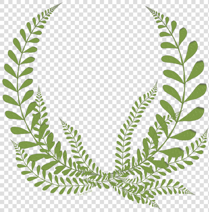  leaves  fern  floral  wreath  freetoedit   Silver Stevie Award 2019  HD Png DownloadTransparent PNG
