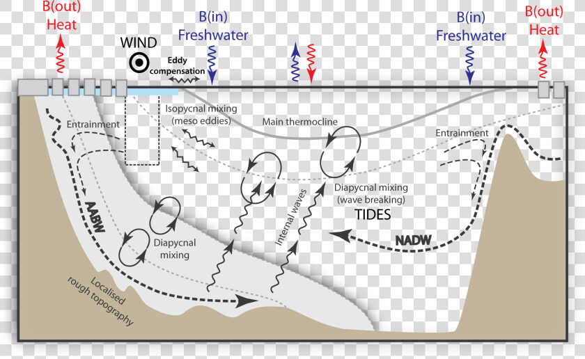 Moc Drivers Cartoon   Carbon Isotopes Ocean Circulation  HD Png DownloadTransparent PNG