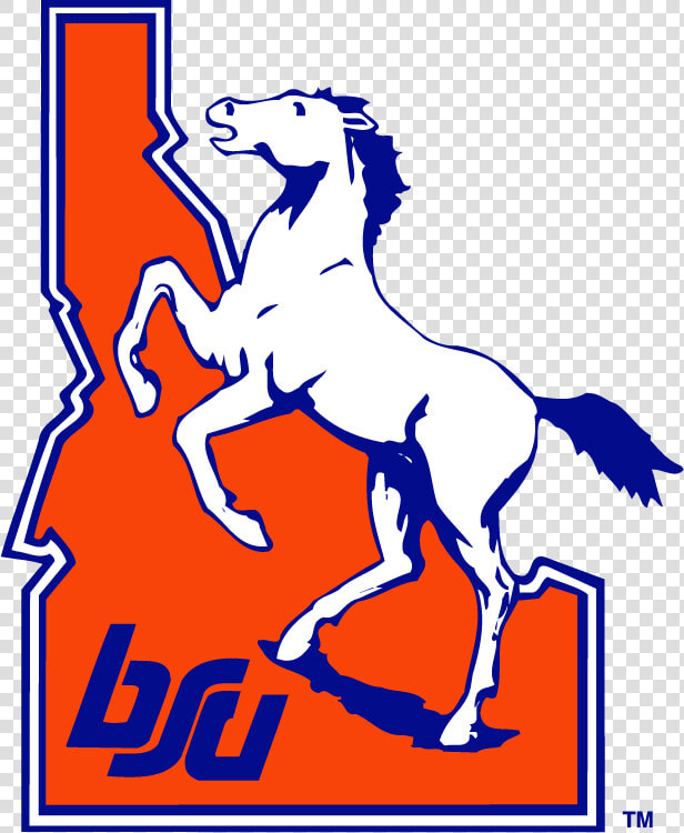 Vintage Boise State Hat  HD Png DownloadTransparent PNG
