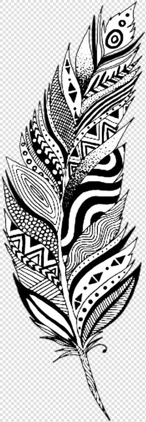 Drawing Feather Boho Transparent Png Clipart Free Download   Black And White Feather Clip Art  Png DownloadTransparent PNG