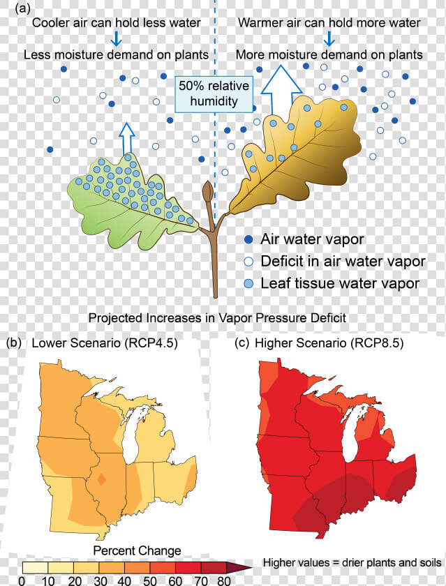 Infographic Displaying The Effects Of Projected Increases   National Climate Assessment Midwest  HD Png DownloadTransparent PNG