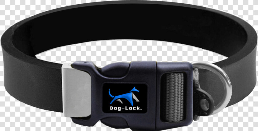 Gps Dog Collar Png  Transparent PngTransparent PNG