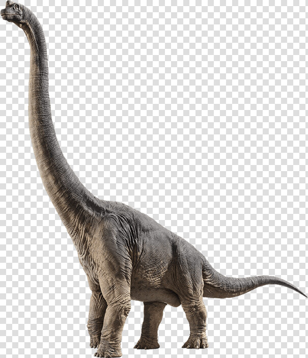 The Park Is Open   Jurassic World Fallen Kingdom Brachiosaurus  HD Png DownloadTransparent PNG