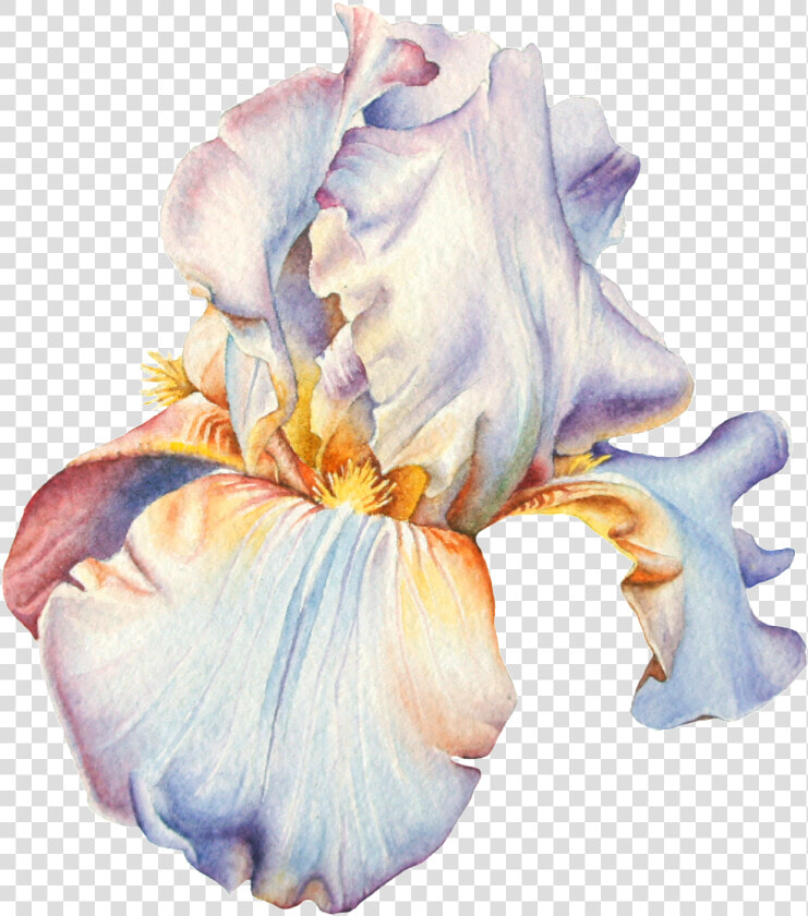 Hand Painted Watercolor Flowers Png Transparent   Watercolour Painting Flowers Png  Png DownloadTransparent PNG
