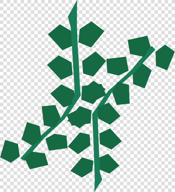 The Runescape Wiki   Edible Seaweed Osrs  HD Png DownloadTransparent PNG
