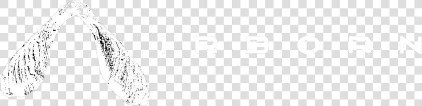Airborn Disc Golf  Unique And Artistic Discs And Apparel   Sketch  HD Png DownloadTransparent PNG
