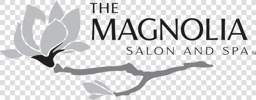 Magnolia Logo Horiz   Illustration  HD Png DownloadTransparent PNG
