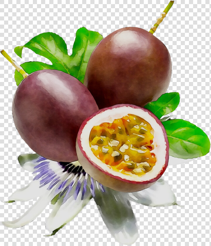 Food Fruit Passion Lipstick Cosmetics Png Free Photo   Passion Fruit Paint Png  Transparent PngTransparent PNG