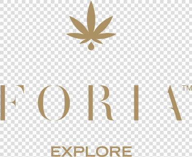 Explore Relief  HD Png DownloadTransparent PNG