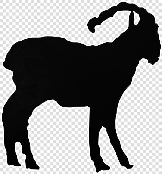 Animal Wildlife Decal  HD Png DownloadTransparent PNG