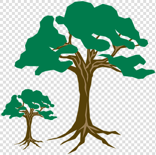 Clipart  Tree  Green  Nature  Wood  Branch  Season  HD Png DownloadTransparent PNG