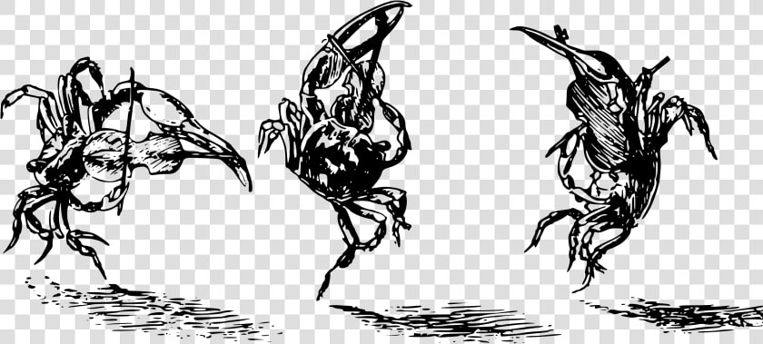 Fiddler Crabs Clip Arts  HD Png DownloadTransparent PNG