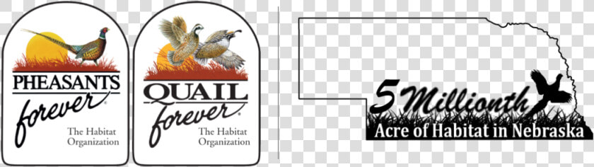 5 Millionth Acre Of Habitat In Nebraska   Pheasants Forever  HD Png DownloadTransparent PNG